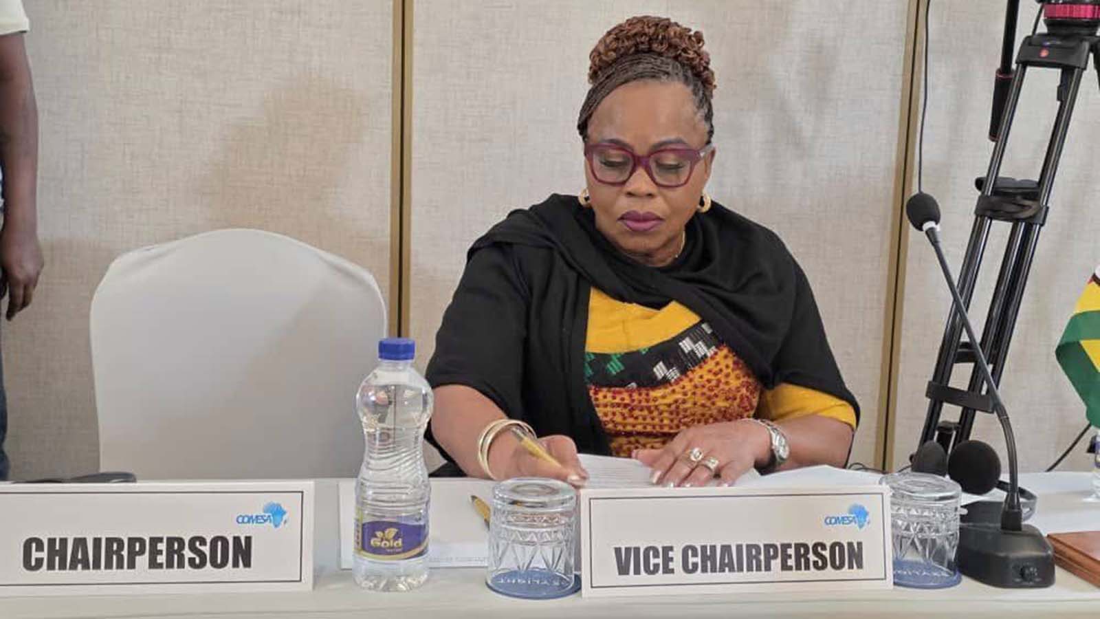 Minister Mutsvangwa assumes COMESA gender vice chair role
