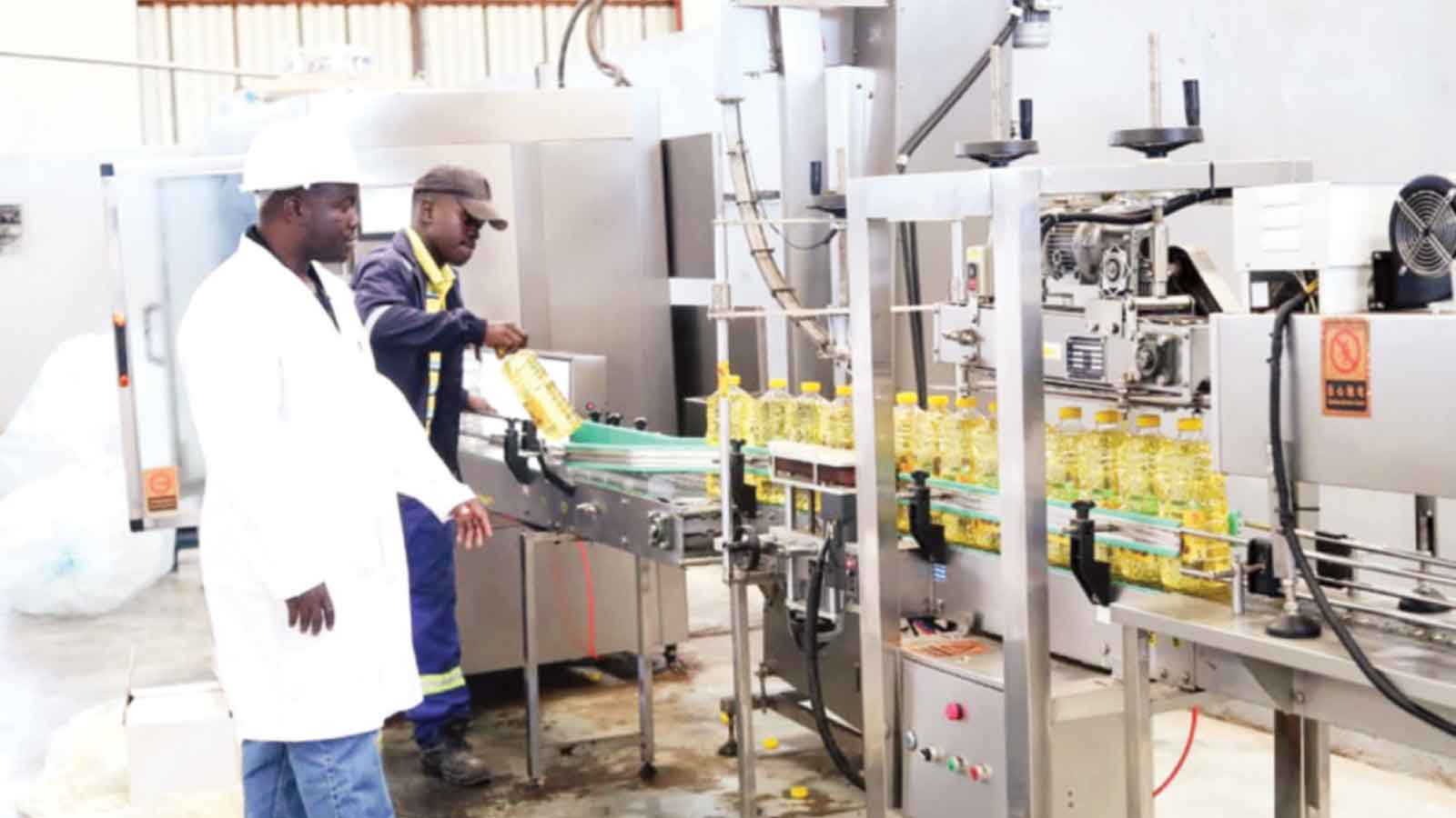 From field to factory: Mutoko farmers fuel new industrial future