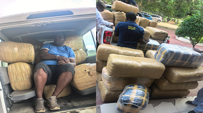 Truck driver nabbed with 692kg of Mbanje at Beitbridge Border