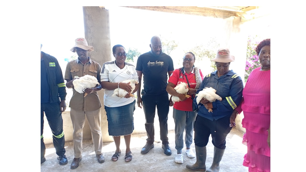 Local schools reap benefits of chicken rearing project