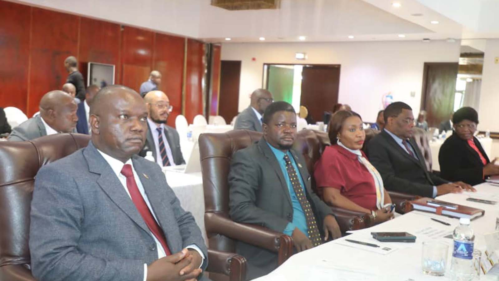 ZIM aligns APRM recommendations with national development frameworks