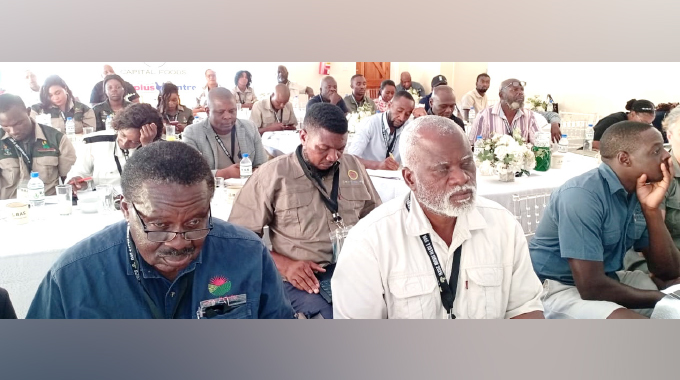 Abalimi kabasebenzise ubunengi bamadamu ukukhuphula amabhizimusi abo