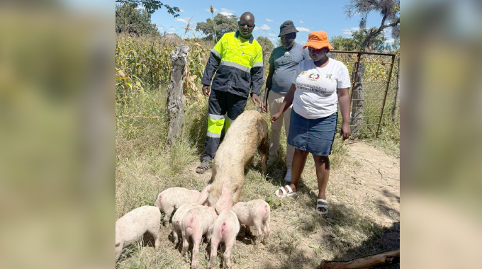 Government rolls out piglet pass‑on scheme to support vulnerable groups