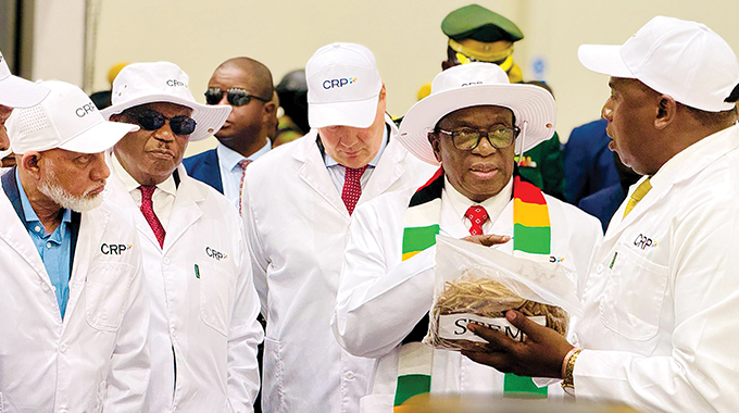 Matabeleland Tobacco thrives: Second Republic’s agriculture push bears fruit