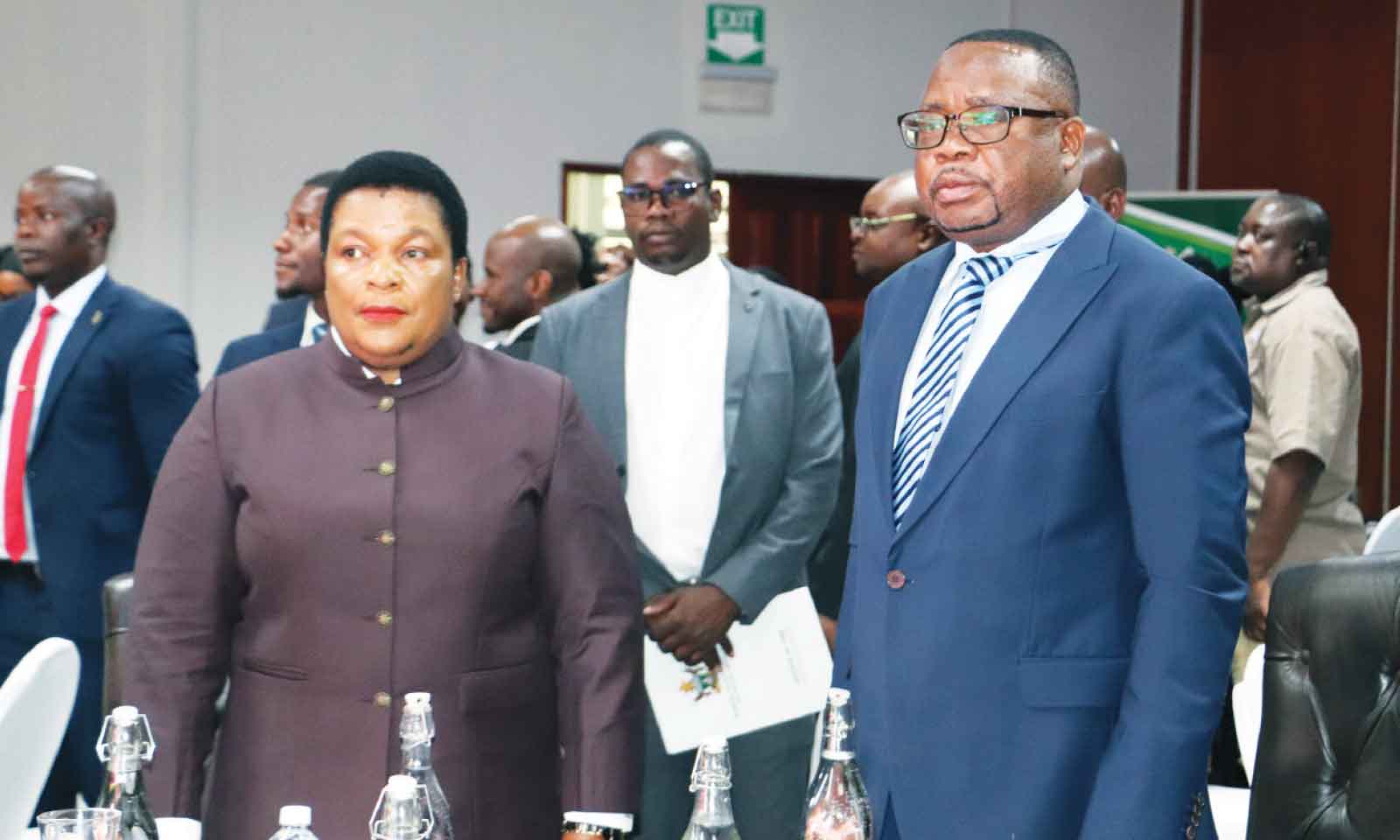 Govt challenges private sector on green housing drive