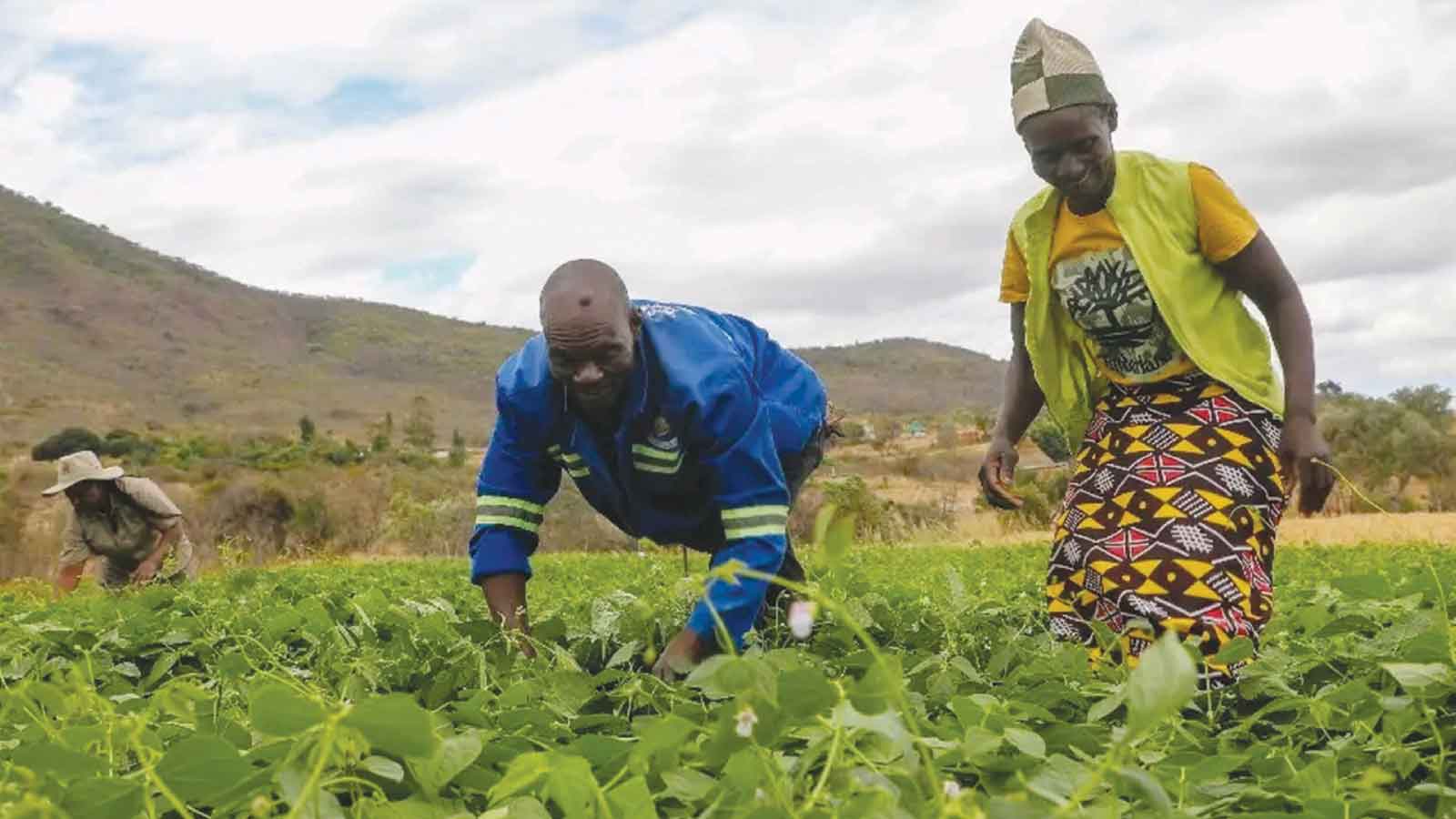 From irrigation to income: VBU model reshapes rural farming