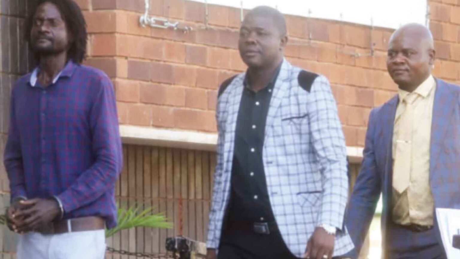 Gardener pleads guilty to ivory theft – herald