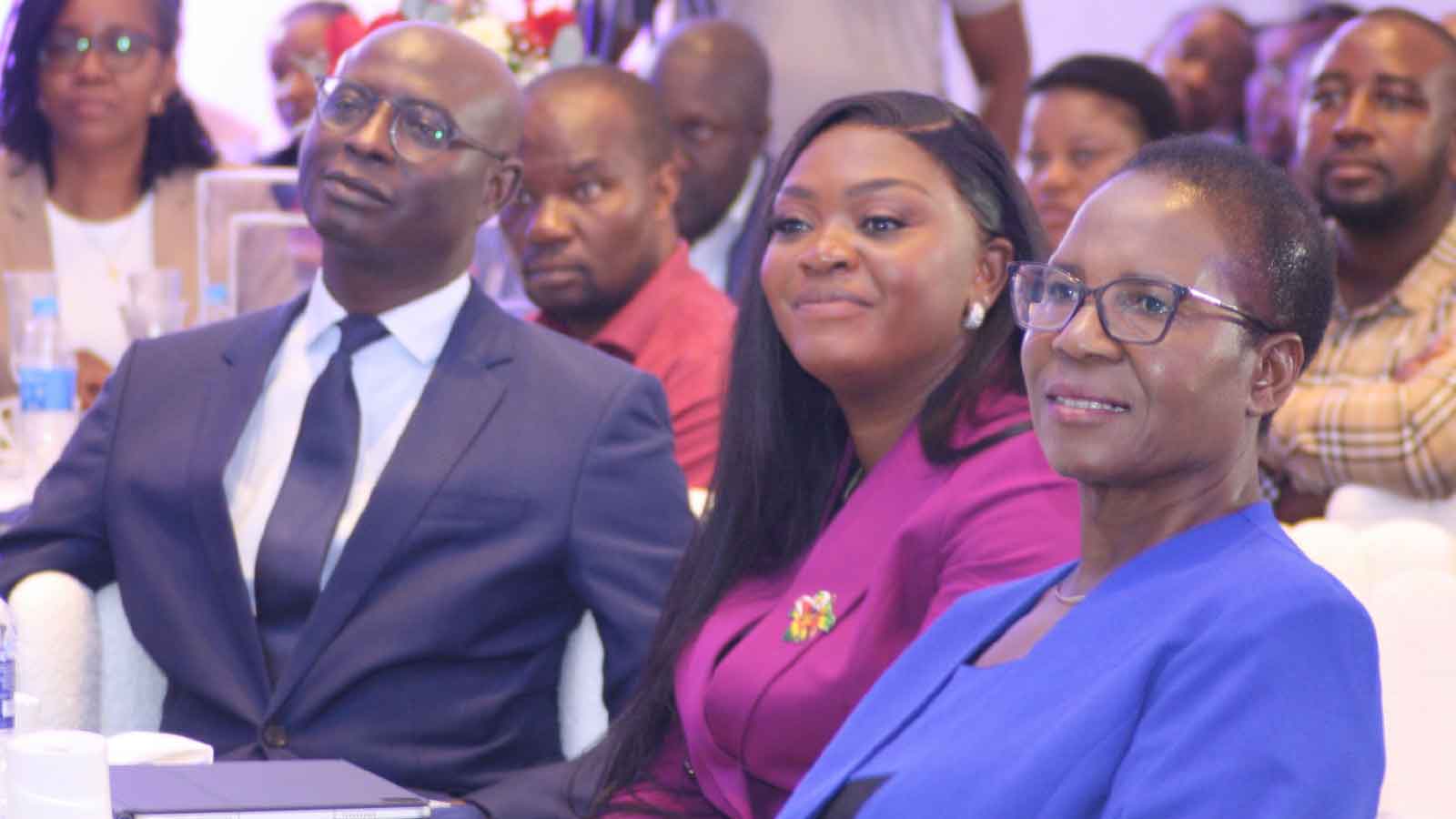 AI launch advances  Zim’s digital policy goals