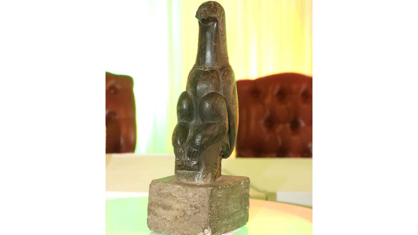 Tracing the homecoming of Zimbabwe’s heroes, priceless bird
