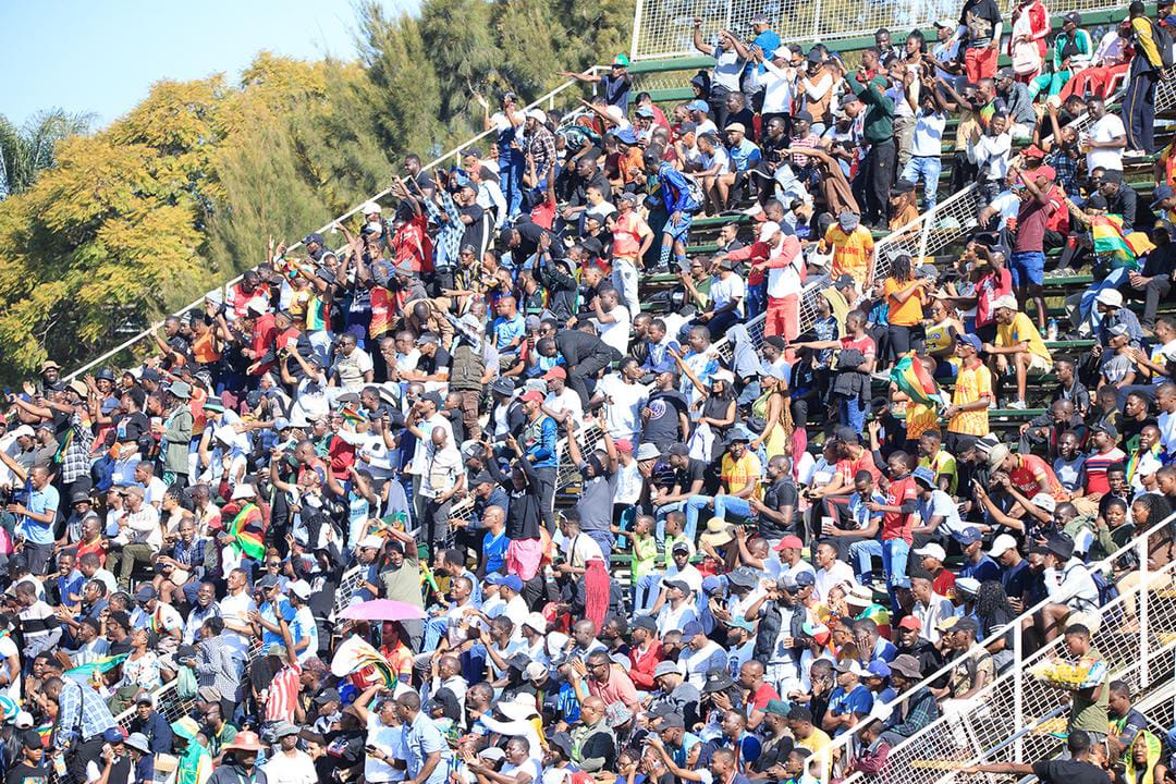 Zimbabwe to host Australia for ODI series as Chevrons step up World Cup preparations