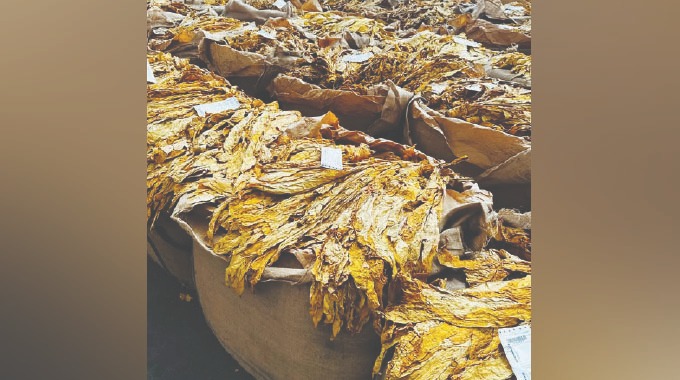 Tobacco deliveries up 83pc  as farmers pocket US$200m