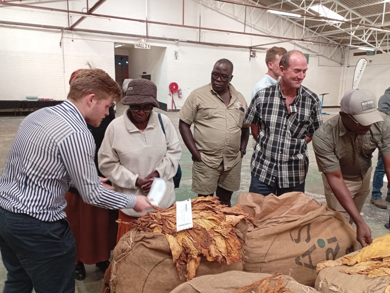 First ever Bulawayo tobacco auction floor opens