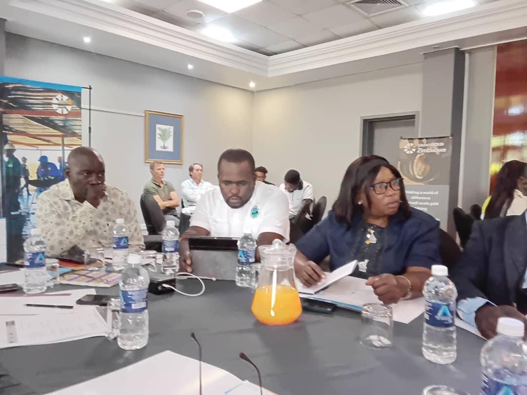 Mining stakeholders unite to formalise small-scale gold sector