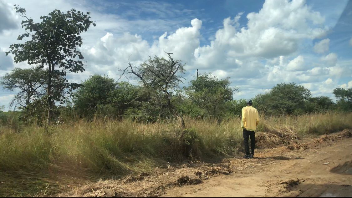 Human skull found at Gwanda Road explosion site Fears that death toll could be higher