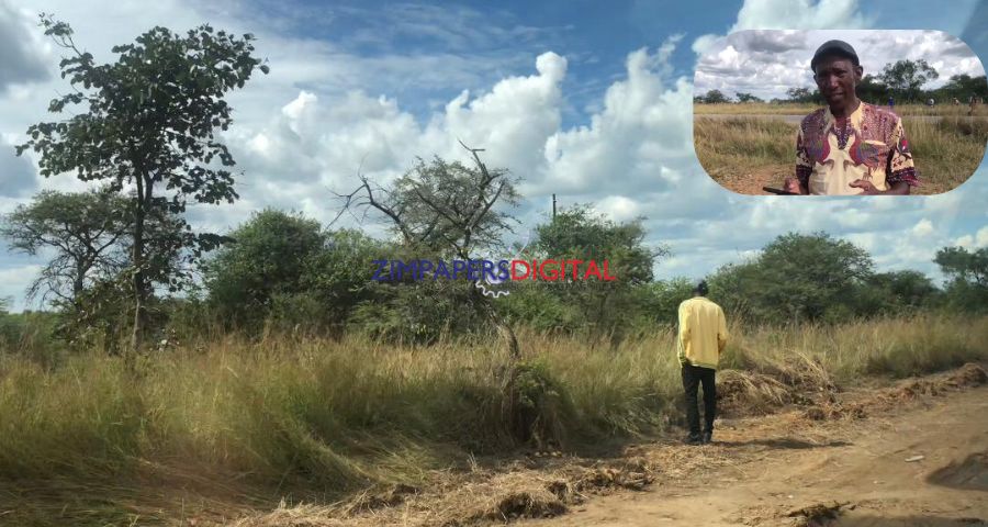 WATCH: Human skull found at Toyota Quantum crash site, raising fears death toll could be higher