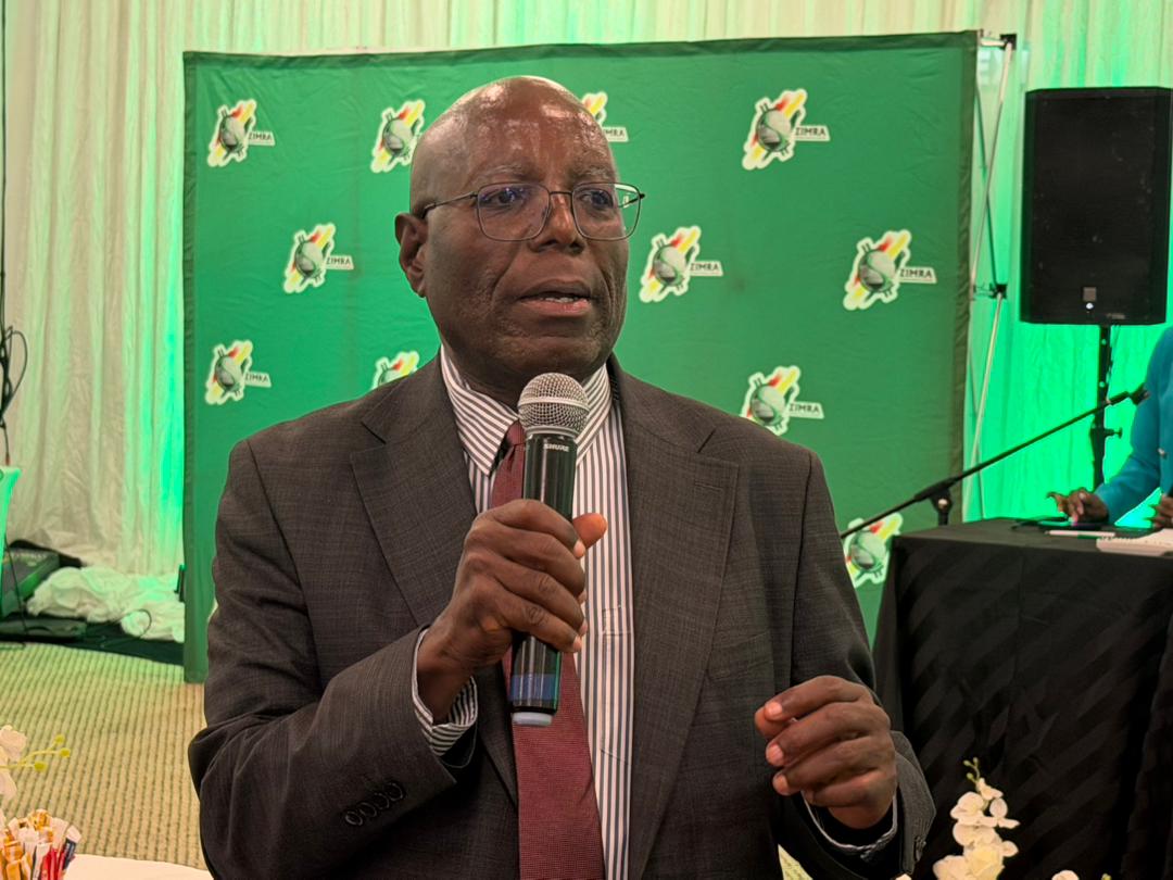 WATCH: Zimra to roll out voluntary disclosure facility for SMEs