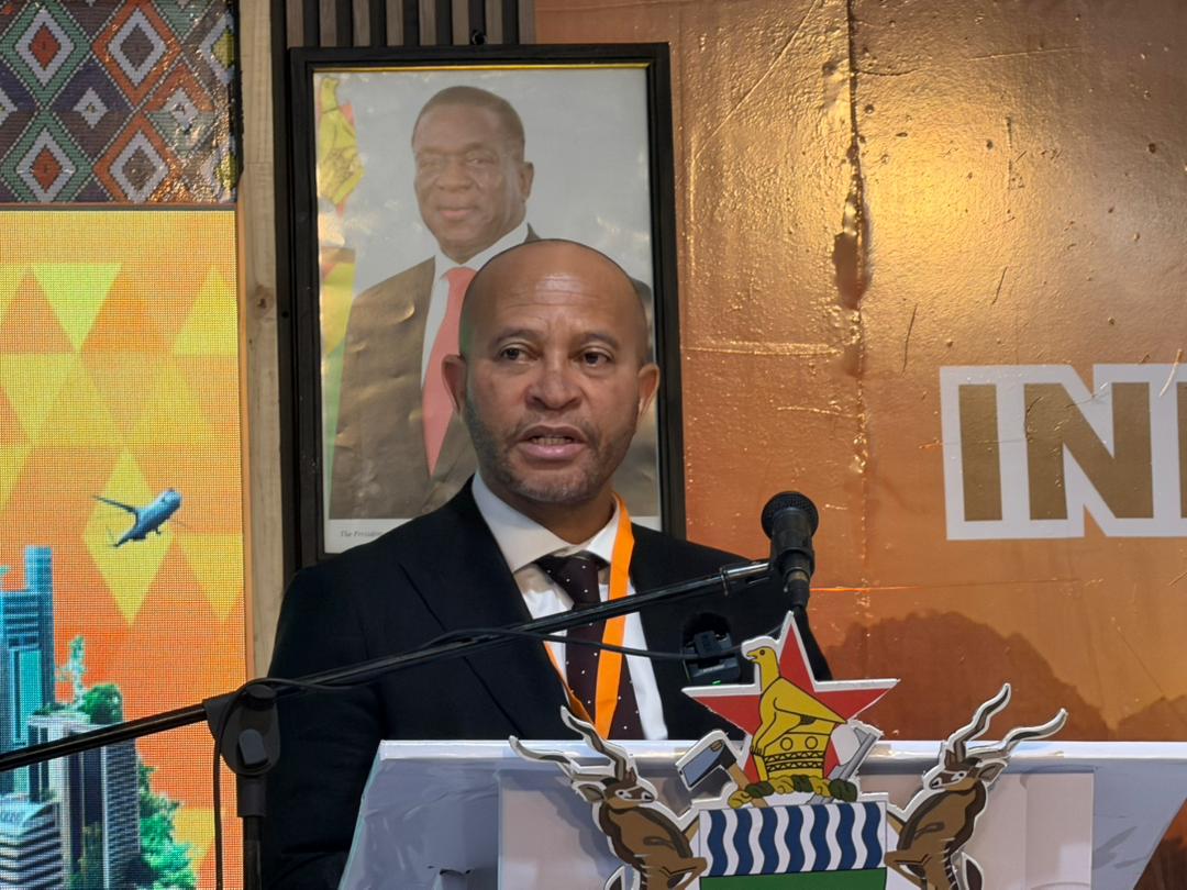 ZIDA records surge in domestic investment activity