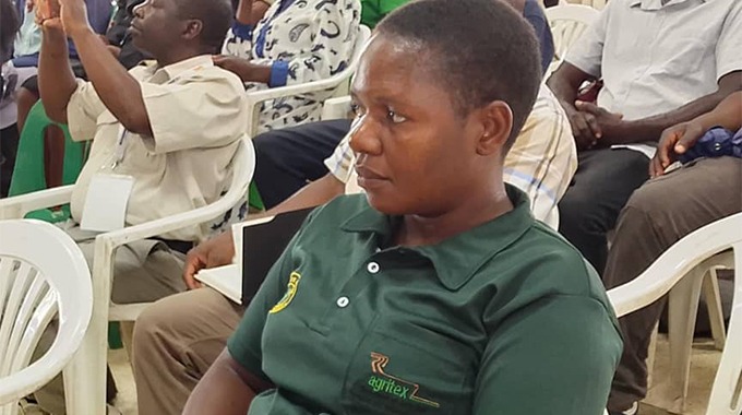 Matabeleland North misses wheat target, sets sights on higher output this season
