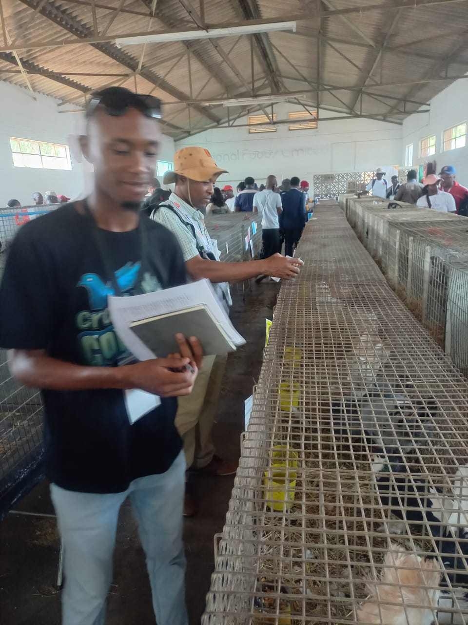 HIVE OF ACTIVITY: The hall showcasing poultry is a hive of activity at the ZITF.