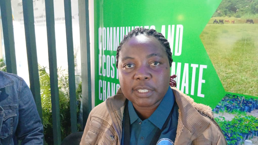 Tsuro Trust drives climate resilience projects across 5 Zimbabwean districts