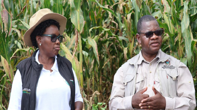 Joint ventures drive productivity as 4 000 partnerships emerge nationwide