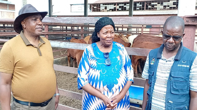 Maphisa mining firm donates 21 beasts towards Independence Day celebrations