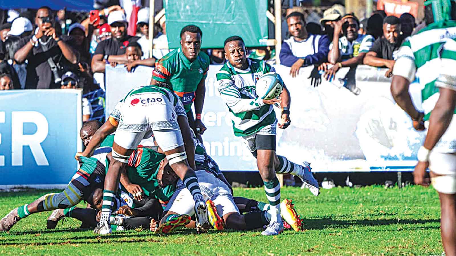 Sables dust cobwebs with win