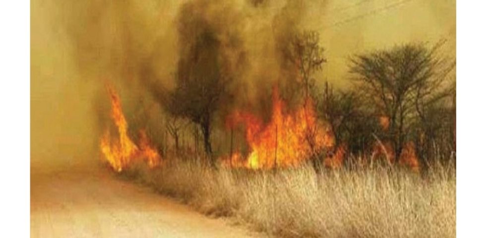Veld fires destroy 81 000 hectares in Mat North