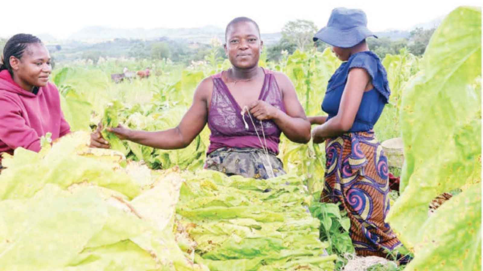 More than a mother: the  story of women rebuilding  a nation with pride