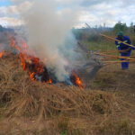 Domborutinhira villagers put out a fire in a mock drill