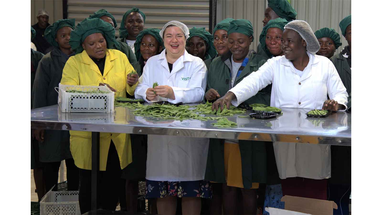 Zim exporters capitalise on high global mange tout, snap pea prices