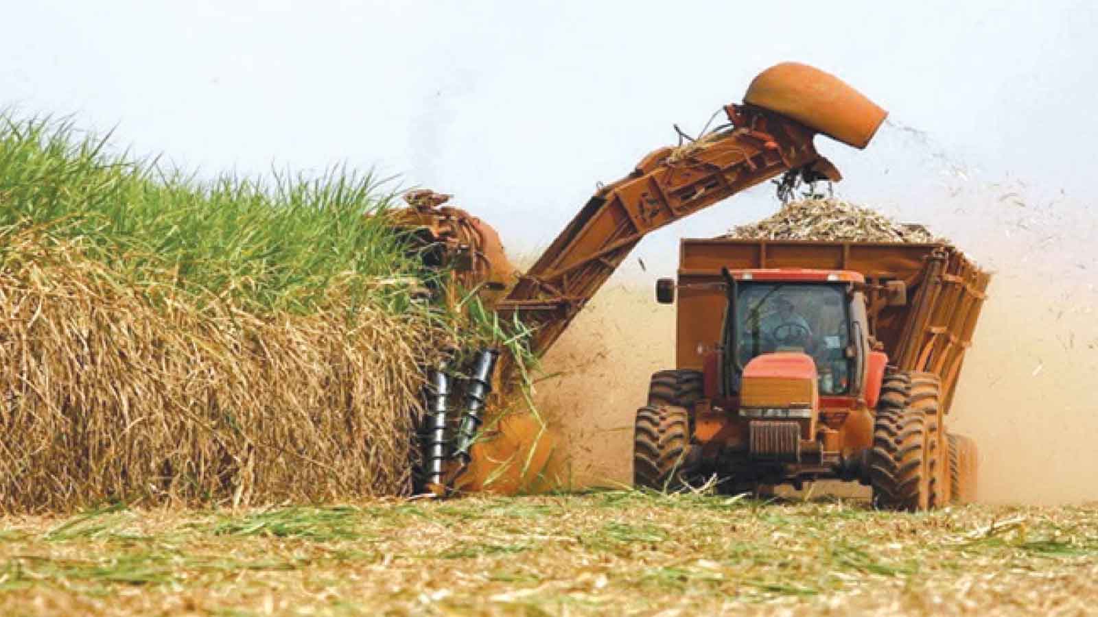 Hippo Valley Estates marks 70 years of agric excellence, national impact