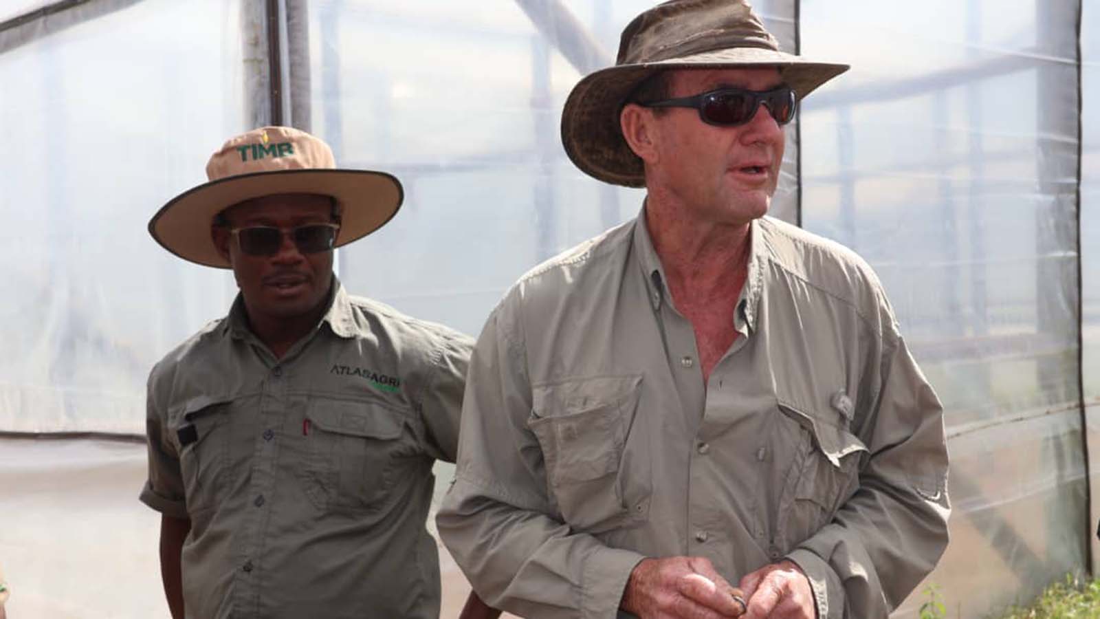Farmers target 50 million kg tobacco output in Matabeleland