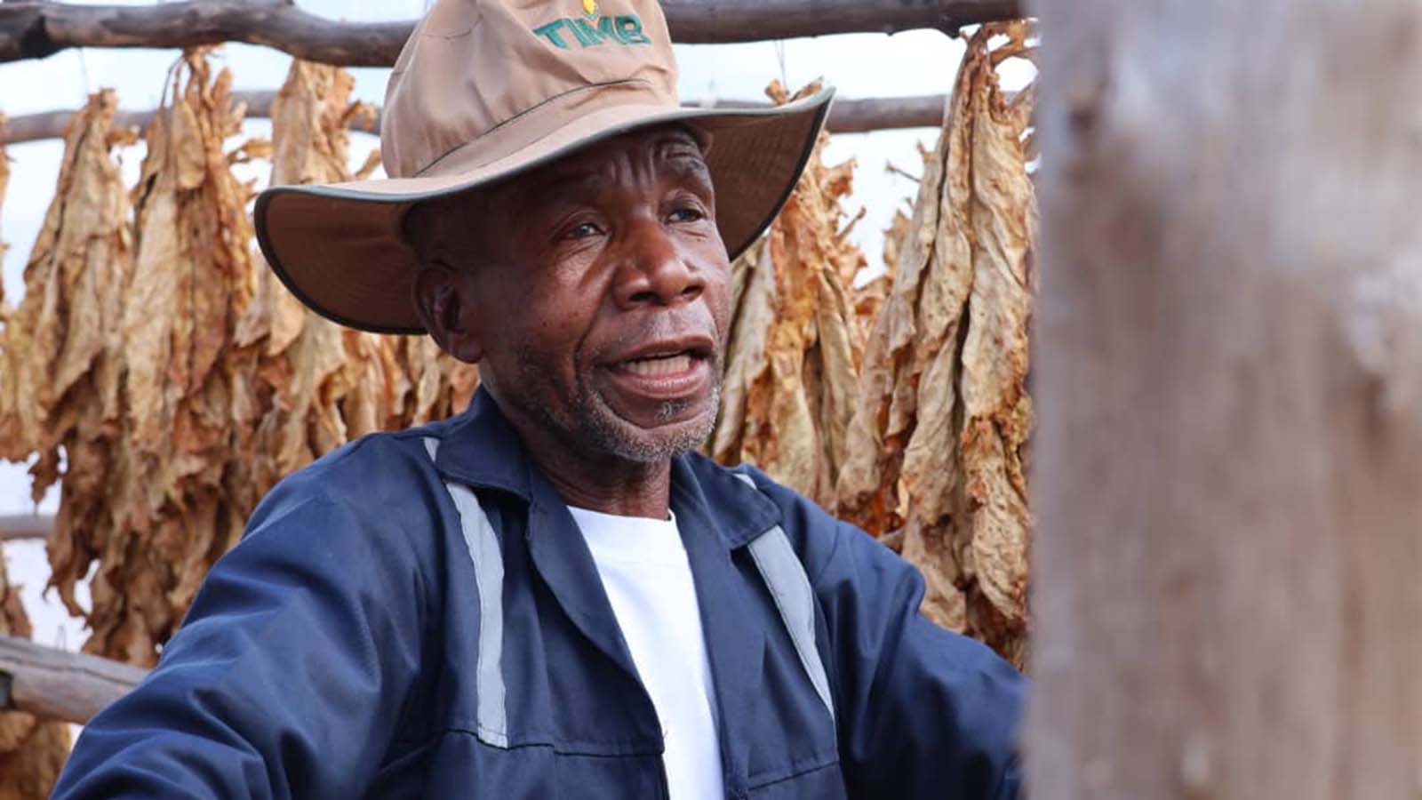 IMB-backed irrigation systems driving agricultural expansion in Matabeleland