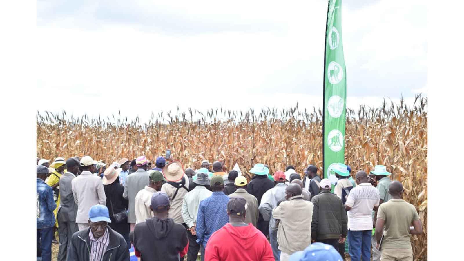 Farmers unite to tackle climate challenges, boost yields