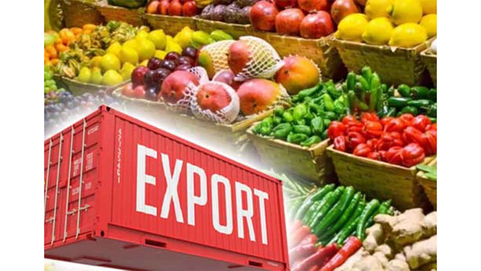 SA’s agricultural exports rise 11pc in first quarter