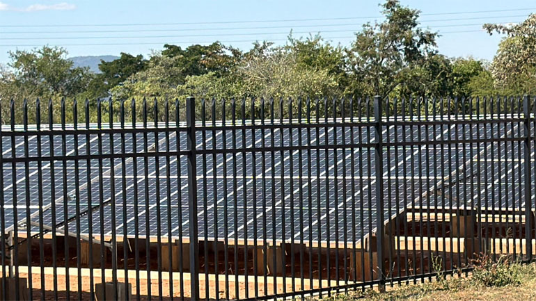 EDITORIAL COMMENT: Manicaland leads the green revolution