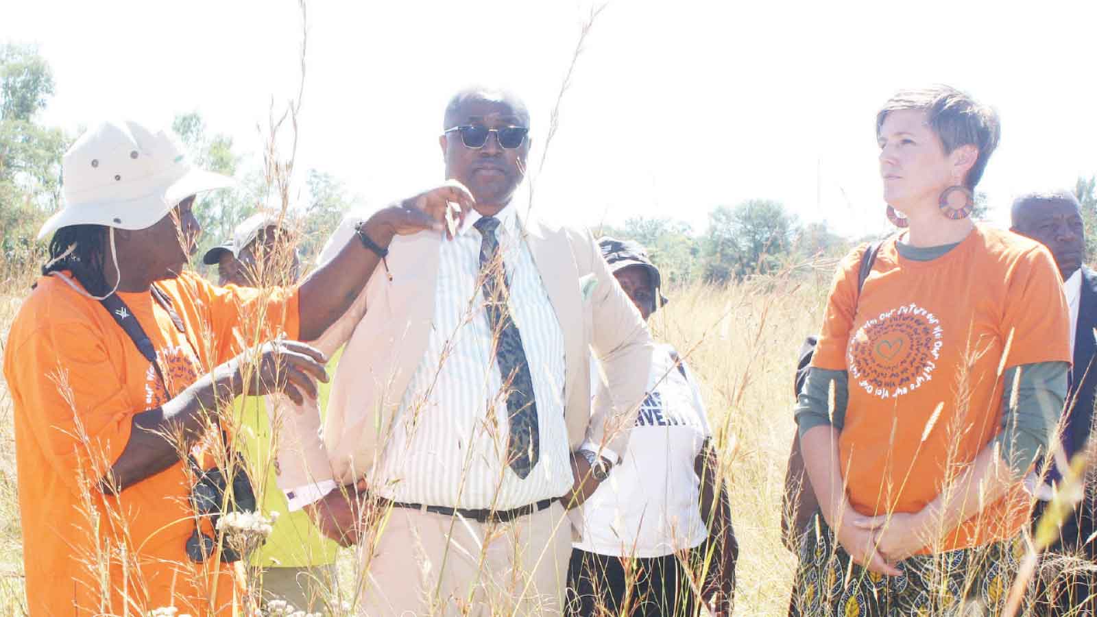 Govt halts construction  in Monavale wetland