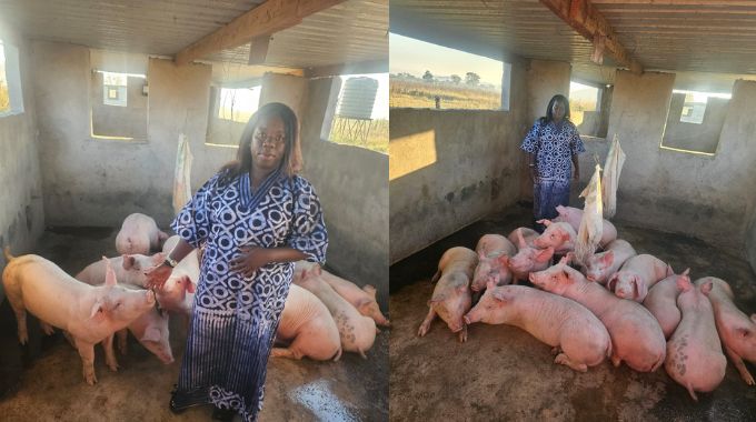 Woman turns piggery project into rural empowerment success story