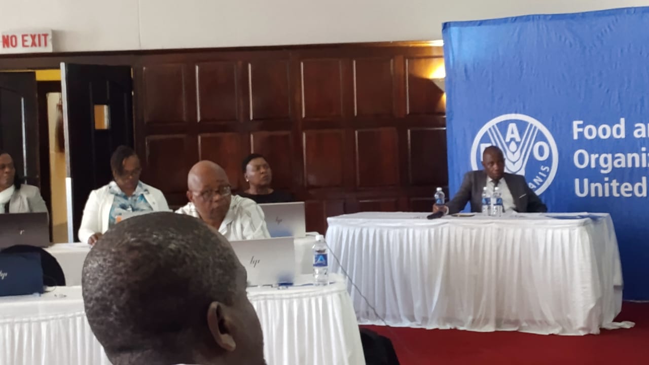 FAO outlines ambitious US$19,4 million sustainable cities project for Bulawayo and Harare
