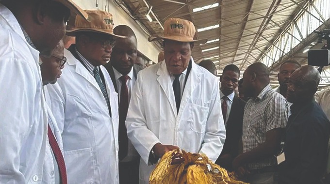 Tobacco sales top US$673 million as TIMB warns farmers over stalk destruction