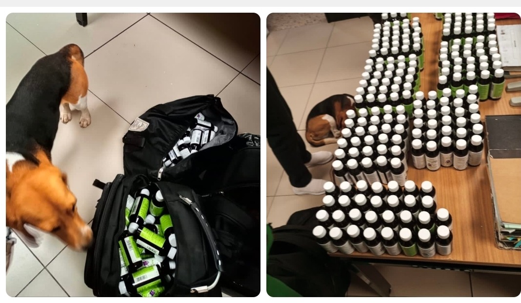 ZIMRA’s Poncho intercepts prohibited cough syrup at Beitbridge