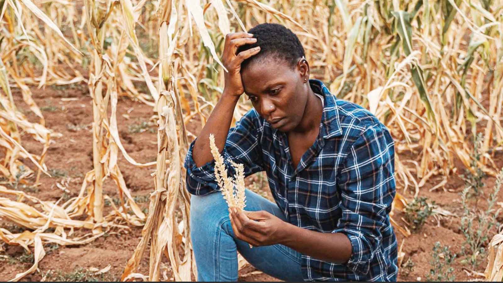 Practical solutions to growing threat  of extreme heat in Southern Africa