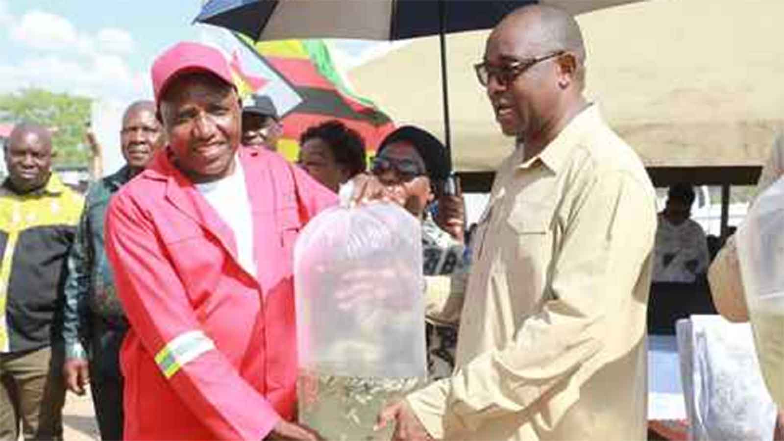 Presidential fisheries scheme transforms Murehwa livelihoods