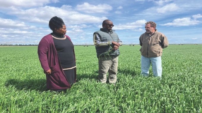 Antelope steps up to support winter wheat production in Mat South