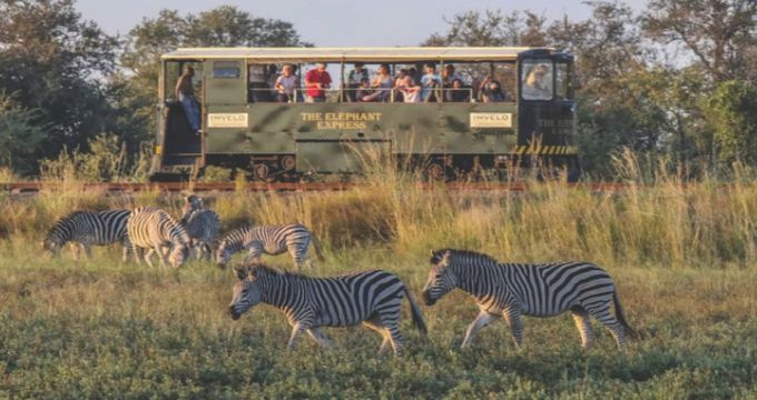Postcard from Zimbabwe: All  aboard the Elephant Express