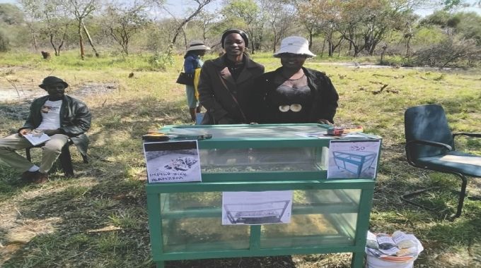 Silalabuhwa revival drives Insiza towards year-round food security