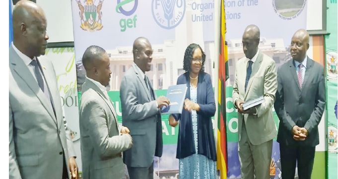 Zim rolls out sustainable cities  programme to drive green growth