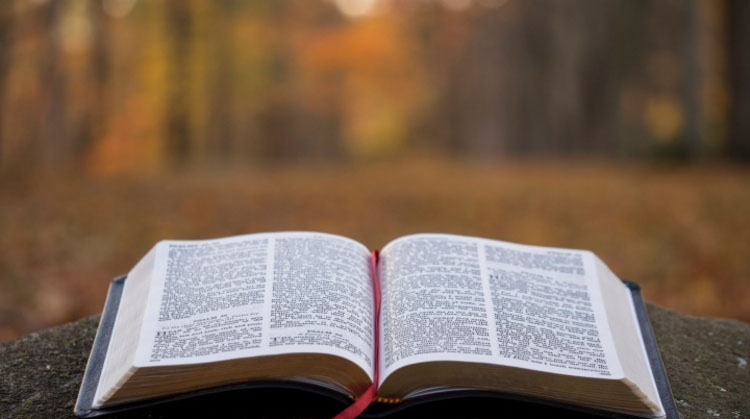 Reflections on Revival: Embracing the promise  of the Father
