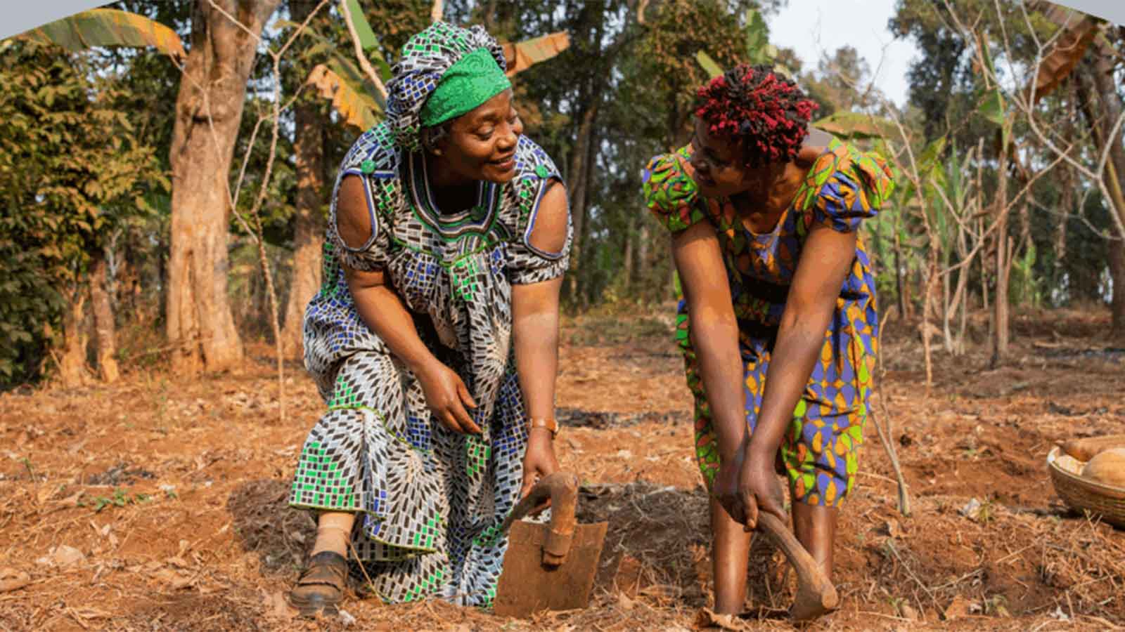 Indigenous knowledge holds key to Africa’s food security